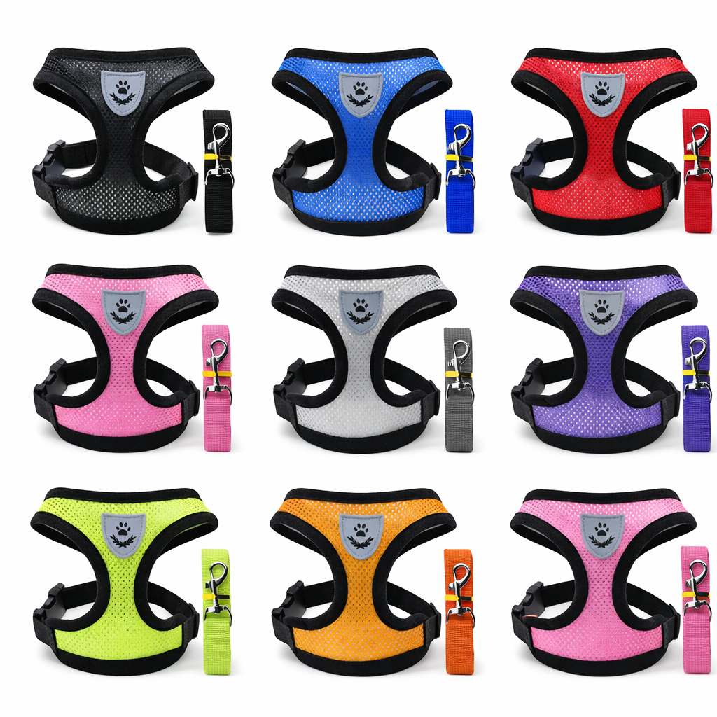 Hot summer small dog pet chest and back breathable dog chest and back suit cat outdoor traction rope child collar