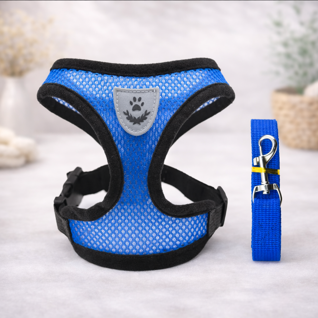 Hot summer small dog pet chest and back breathable dog chest and back suit cat outdoor traction rope child collar