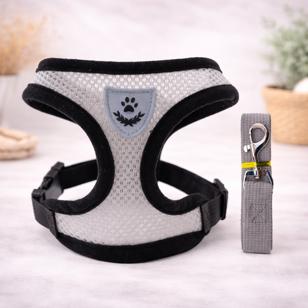 Hot summer small dog pet chest and back breathable dog chest and back suit cat outdoor traction rope child collar