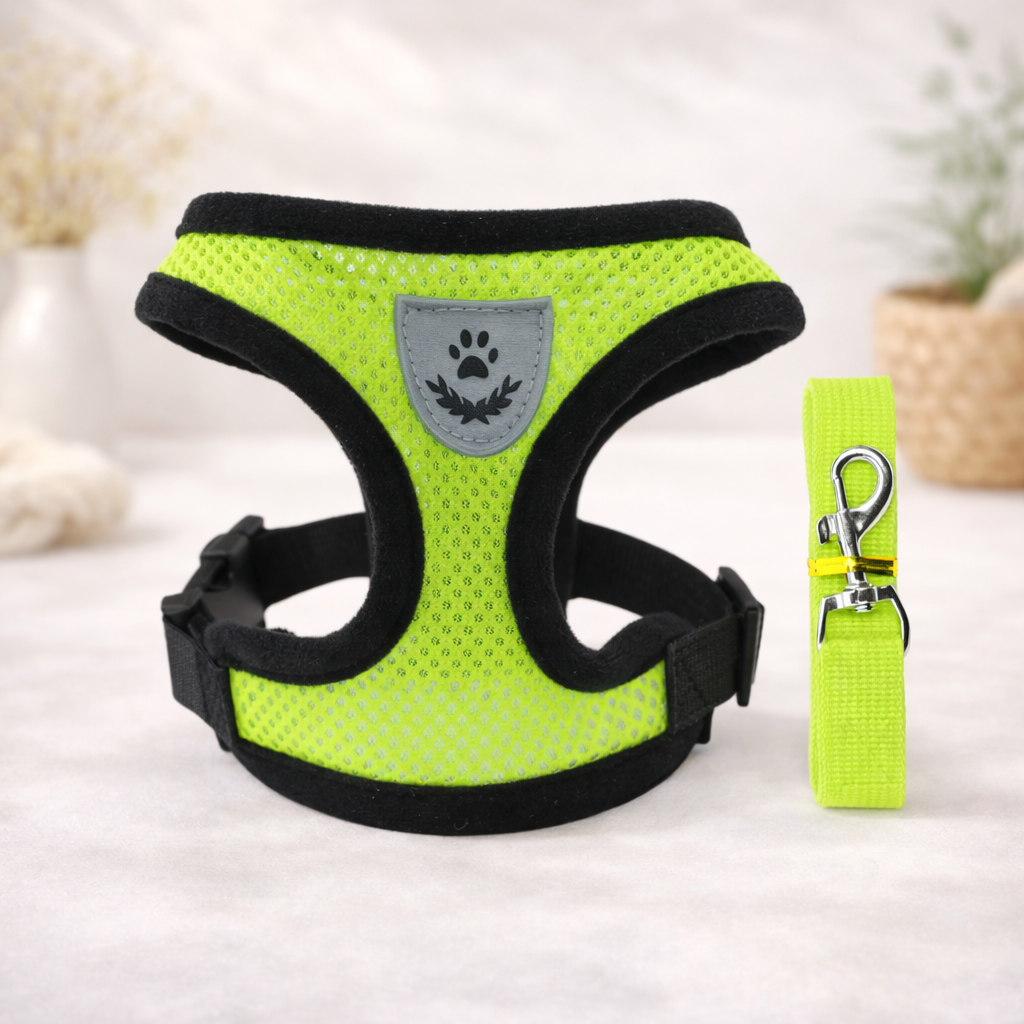 Hot summer small dog pet chest and back breathable dog chest and back suit cat outdoor traction rope child collar