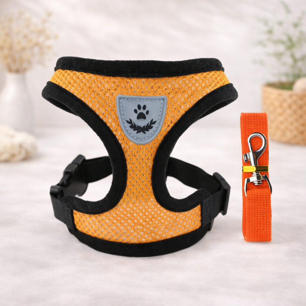 Hot summer small dog pet chest and back breathable dog chest and back suit cat outdoor traction rope child collar