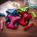 Hot summer small dog pet chest and back breathable dog chest and back suit cat outdoor traction rope child collar