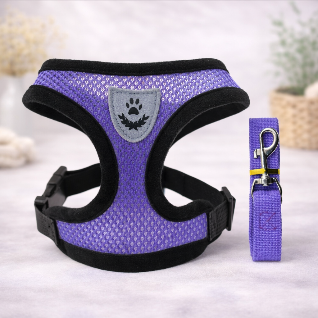 Hot summer small dog pet chest and back breathable dog chest and back suit cat outdoor traction rope child collar