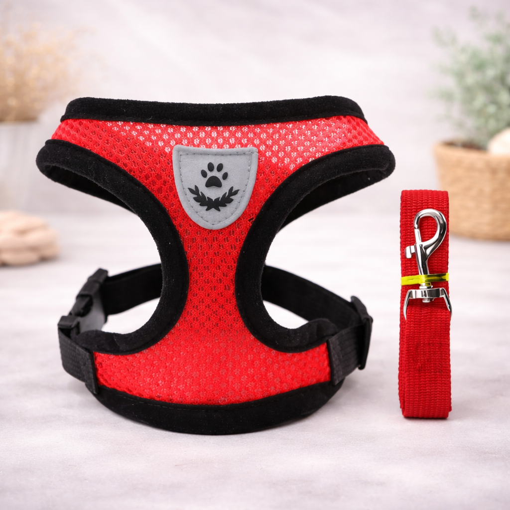 Hot summer small dog pet chest and back breathable dog chest and back suit cat outdoor traction rope child collar