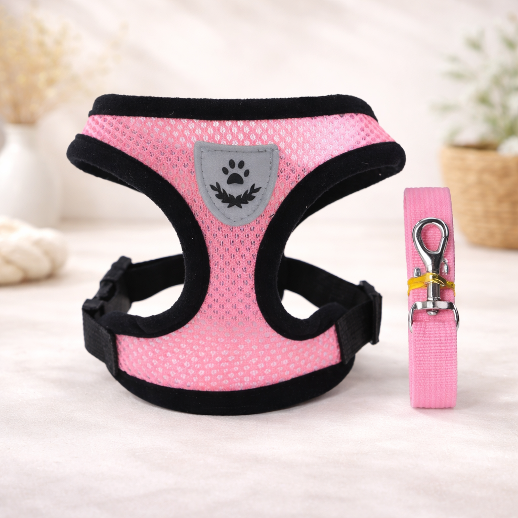 Hot summer small dog pet chest and back breathable dog chest and back suit cat outdoor traction rope child collar