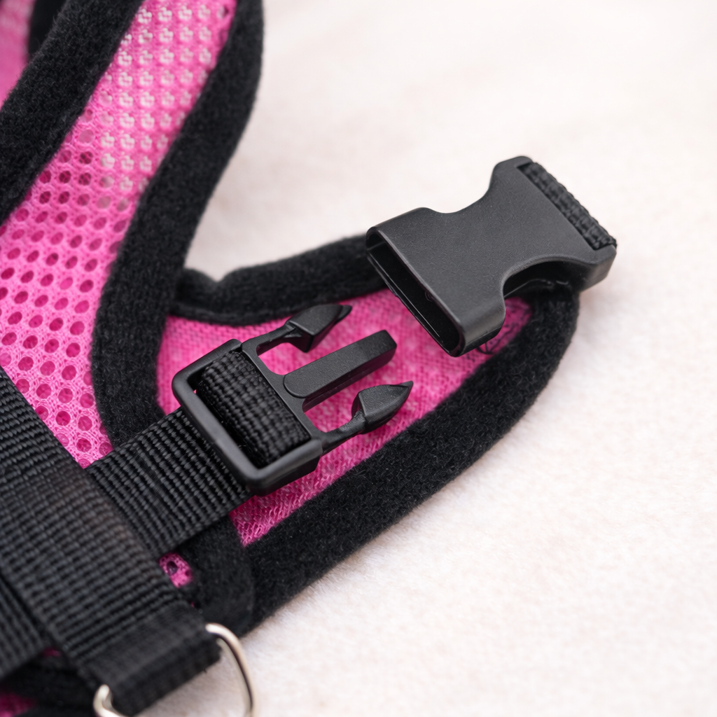 Hot summer small dog pet chest and back breathable dog chest and back suit cat outdoor traction rope child collar