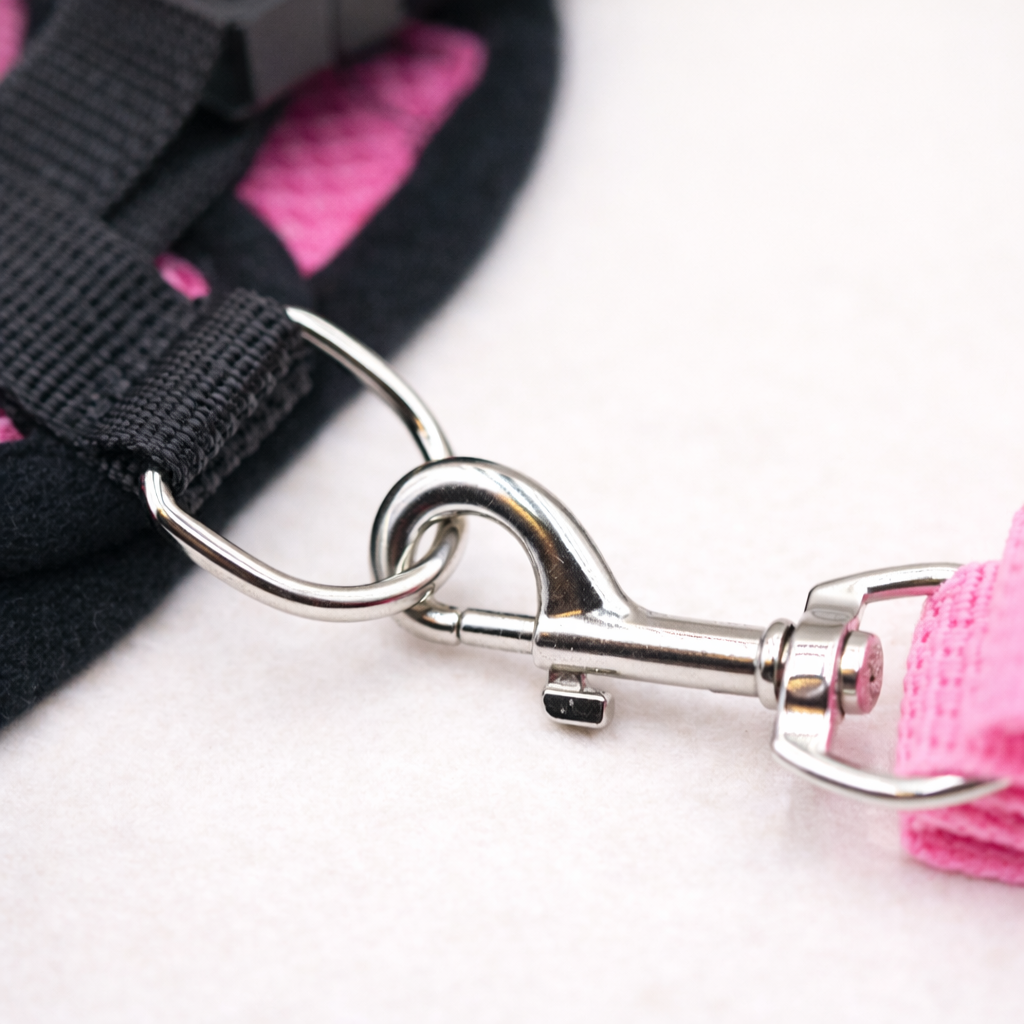 Hot summer small dog pet chest and back breathable dog chest and back suit cat outdoor traction rope child collar