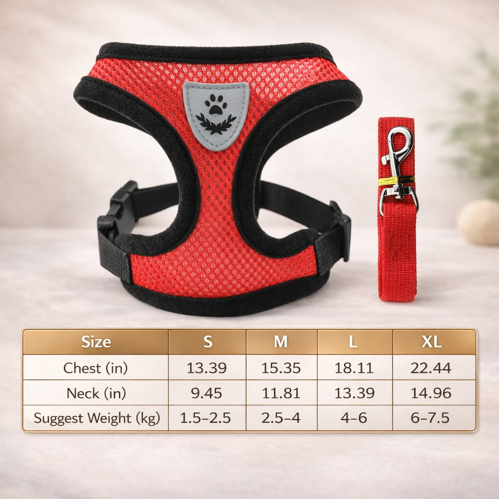 Hot summer small dog pet chest and back breathable dog chest and back suit cat outdoor traction rope child collar